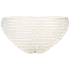 Bikini Slip Mesh Effect
