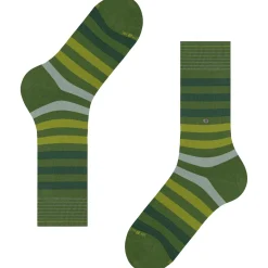 Burlington blackpool herren