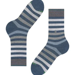 Burlington blackpool herren