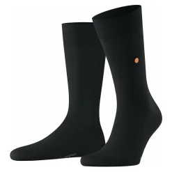 Burlington lord herren