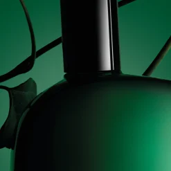 Comme des Garçons Amazingreen