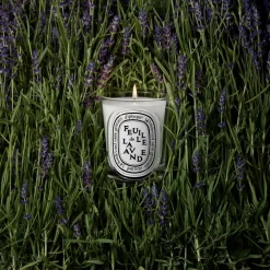 Feuille de Lavande Classic candle 190g/6.7oz