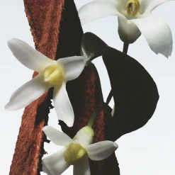 Fleur du Mal Eau de Parfum