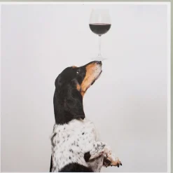 Karte Hund