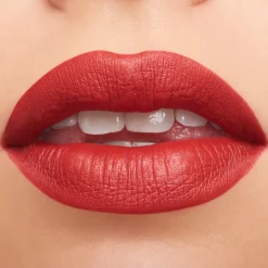 Macximal Matte Lipstick