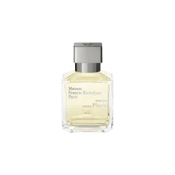 masculin Pluriel
