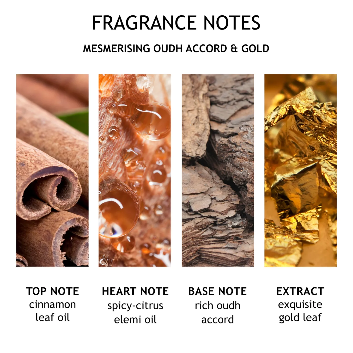 Mesmerising Oudh Accord & Gold Body Lotion