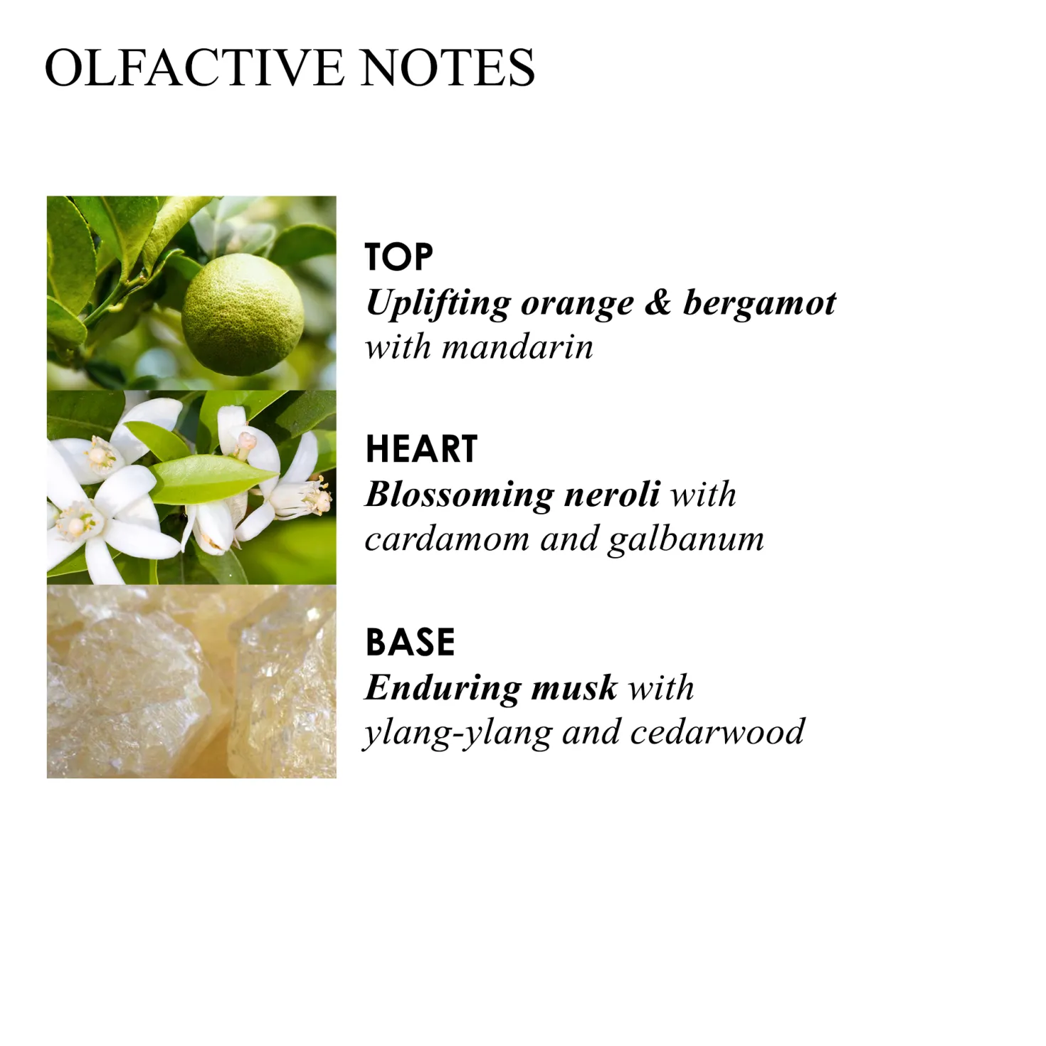 Orange & Bergamot Aroma Reeds
