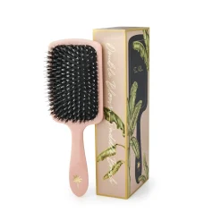Paddle Bloom