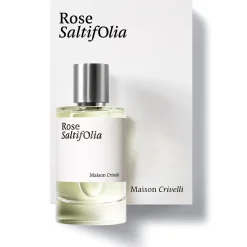 Rose Saltifolia
