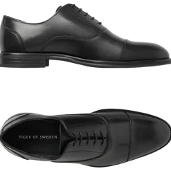 Schuh Lathan