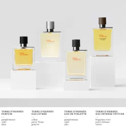 Terre d’Hermès Eau Givrée, Eau de Parfum