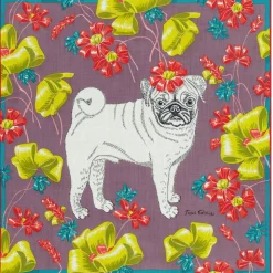 Tuch Toutou