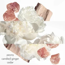 Twilly d`Hermès Eau Ginger