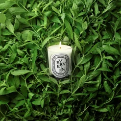 Verveine Classic candle 190g/6.7oz